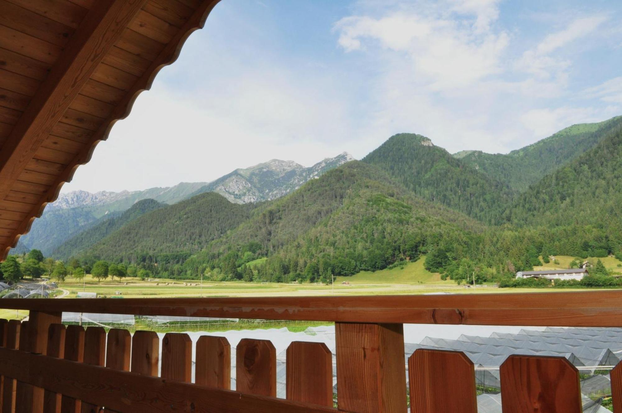 Garni Dal Mozat Bed & Breakfast Lenzumo di Concei Exterior photo